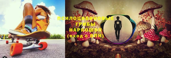 соль ск Алексин