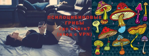 ешки Алексеевка